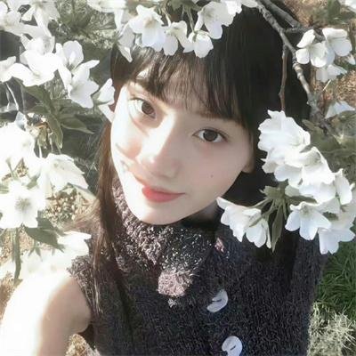 浪漫满厨海报